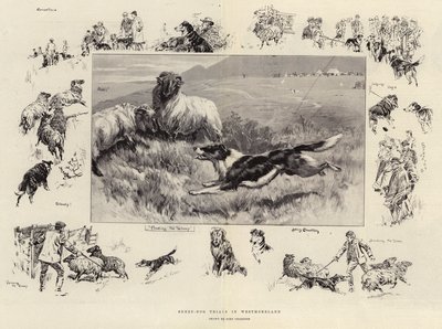 Sheep-Dog Trials in Westmoreland by John Charlton